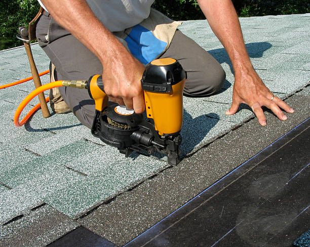 Best Roof Gutter Cleaning  in Tennessee Ridge, TN