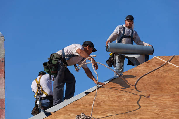 Quick and Trustworthy Emergency Roof Repair Services in Tennessee Ridge, TN